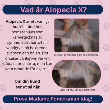 Intensiv daglig behandling för follikulär tillväxt